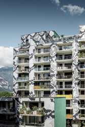 Hadí dům v Grenoble, Edouard François,