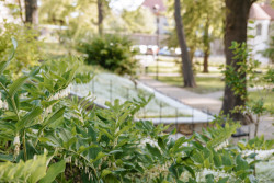 Štěpánčin park v Prachaticích, M2AU, Grupeto