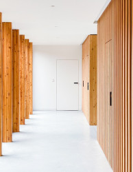 Dorsis Fortius 52 může být s dubovými lamelami, dýhou nebo jednoduše bílé. Cílem je nechat dveřní plochu splynout s okolní zdí.