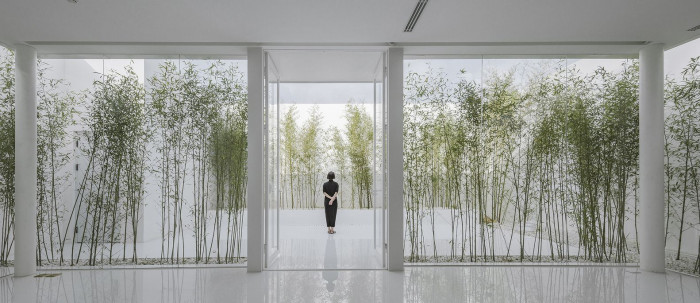 Bamboo Forest, V Studio