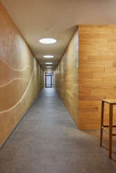 Architekti do suterénu vměstnali dva sportovní sály. Velký se rozprostírá v zadní části. Před ním je dřevěná vestavba. (Quis Yoga Studio v Praze-Petřinách, MENU architekti)