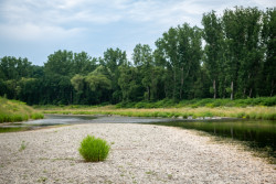 Povodní prověřená obnova Bečvy