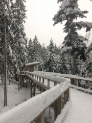 Návštěvnické centrum Srní od ateliéru AND