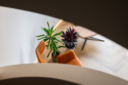 Veškeré sezení v Atelieru Bohemia pochází od české značky LD Seating.