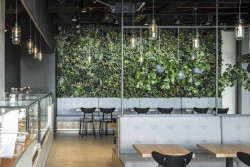 Cafe Enzzo, SOA architekti