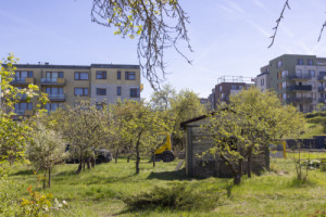 Staré Vysočany už do velké míry zmizely, všude je generická nová zástavba. (Proměna zahrádkářské kolonie na park v Praze; Terra Florida)