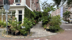 5. prosince proběhne v kině Světozor dvojpřednáška s názvem Ozeleňování měst s amsterdamským krajinářským architektem Tonem Mullerem a tuzemským krajinářským architektem Štěpánem Špoulou.