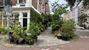 5. prosince proběhne v kině Světozor dvojpřednáška s názvem Ozeleňování měst s amsterdamským krajinářským architektem Tonem Mullerem a tuzemským krajinářským architektem Štěpánem Špoulou.