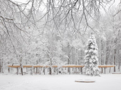 Vítěz kategorie Exteriér – Obnova turistického areálu Malý Slavín v městských lesích Bratislavy, ateliér BAKYTA architekti