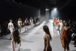 Zuzana Kubíčková - Morphology