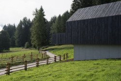 pfösl hotel, bergmeisterwolf, Foto