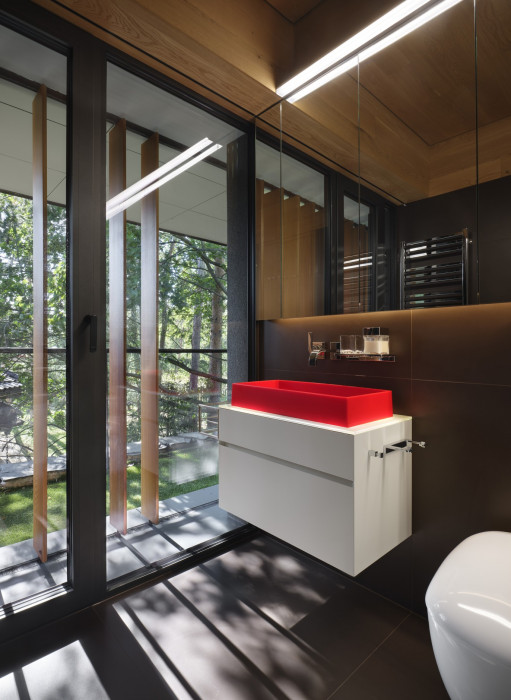 Dům v boru, A69 - architekti / Boris Redčenkov, Prokop Tomášek, Jaroslav Wertig