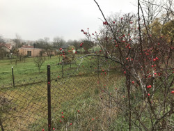 Chatka Blokki v Zátiší, Chotutice. Foto: Karolína Vránková