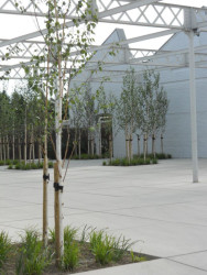 3. dubna pořádá spolek KRUH přednášku krajinářské architekta Kennyho Windelse s názvem Odbetonování jako katalyzátor pro tvorbu.