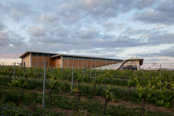VINAŘSTVÍ LAHOFER, CHYBIK + KRISTOF ARCHITECTS. Foto: Radek Úlehla