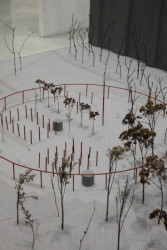 Autorka díla: Jitka Semberová