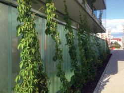 Komunitní centrum Máj v Českých Budějovicích