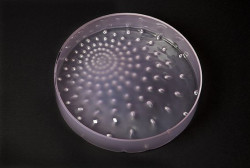 Národní cena za studentský design 2017 * JUNIOR, Foukané skleněné mísy Akupunktura