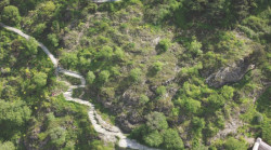 Narikala ridge forest (městský les Tbilisi v Gruzii)