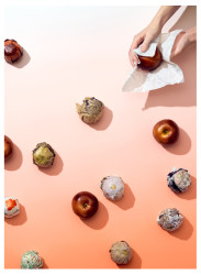 Barbora Satranská - Ateliér ilustrace a grafiky - Mluvit o jablkách a neznat jabloně