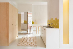 Při rekonstrukci vznikla nová bytová dispozice. Vstupuje se do chodby s prostornými skříněmi a botníkem potaženým zrcadlovou fólií. (Byt pro malířku v Praze-Holešovicích od Plus One Architects)