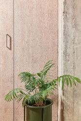 Kořenová dýha vedle hrubého betonu