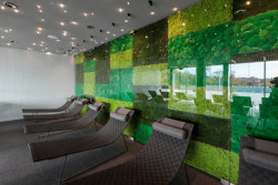 Architekti D.R.N.H. - Wellness Kraví hora: Relaxační zónu doplňuje mechová stěna