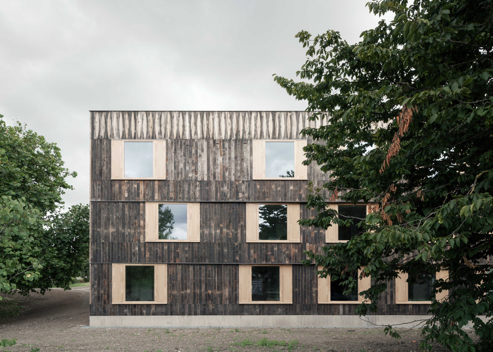 Studentské koleje Cowan Court, Cambridge, 6a architects