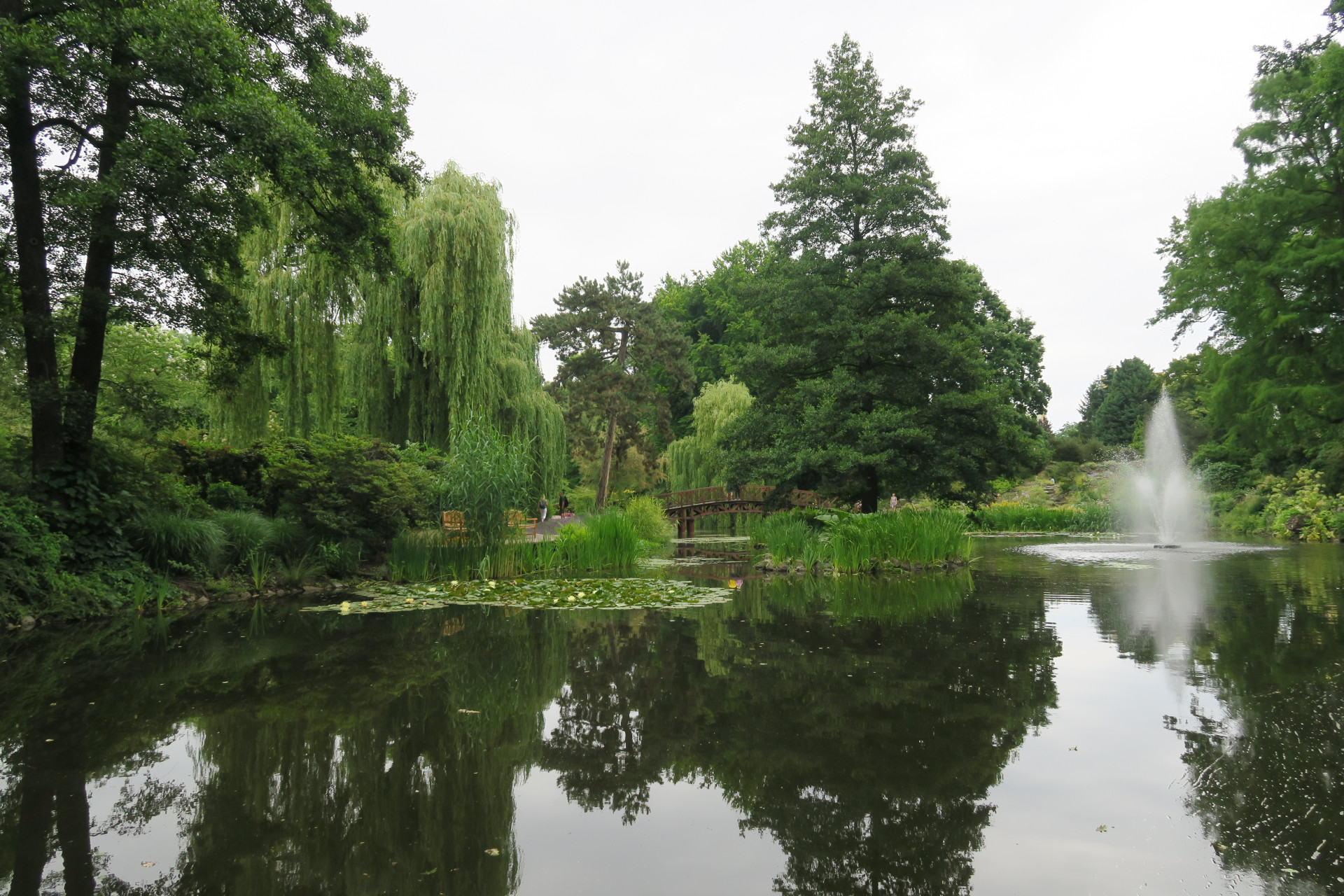 Univerzitní botanická zahrada na Starém Městě - ideální místo na poobědovou procházku a odpočinek