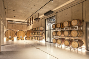 V suterénu se nachází například i tato místnost se sudy,  v případě potřeby ji lze využít i k degustacím. (ARTEVINI Resort & Winery u Velkých Pavlovic; znamení čtyř – architekti)