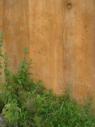 Rust-ic House, Urban Agency