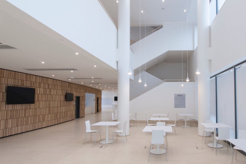 Pavilon IMPAKT MFF UK, majo architekti / Jan Jaroš, Štěpán Jablonský © Jiří Alexander Bednář