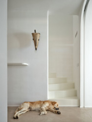 Ve vstupní chodbě uvítá návštěvníky dřevěná ceremoniální maska z Gabonu. (Dům Oskar, Jan Žaloudek)