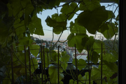 Interiér bytu v Praze od RDTH studia