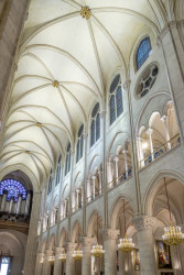 Na krovy je namířeno 54 světelných LED projektorů CONTRAST značky Thorn Lighting.