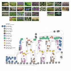 Rezidence Pri Mýte, návrh zeleně, Arhitektura Krušec