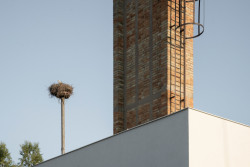 Adaptace koetelny v Ledenicích od Ateliéru 111 architekti