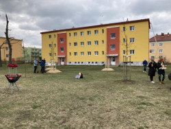 Nadace Proměny Karla Komárka vyhlašuje výzvu k obnově parku před Základní školou U Červených domků v Hodoníně