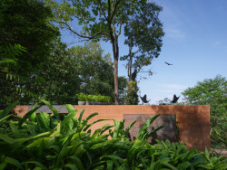 Na střeše se nachází terasa s nejlepším výhledem. ((Studio House na Kostarice, Formafatal))