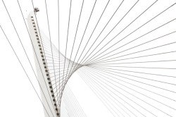 Šestašedesát lan drží štíhlou mostovku (Santiago Calatrava, Most strun)