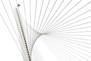 Šestašedesát lan drží štíhlou mostovku (Santiago Calatrava, Most strun)