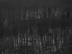 JANOŠÍK vydává knihu Krajina domovem jako oslavu svojí práce