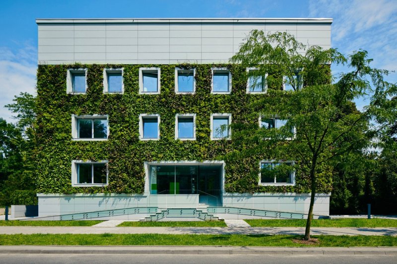 Zelené fasády přispívají k regulaci teploty uvnitř budovy.