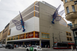 Motýli na Máji zůstávají nejméně další dva roky.