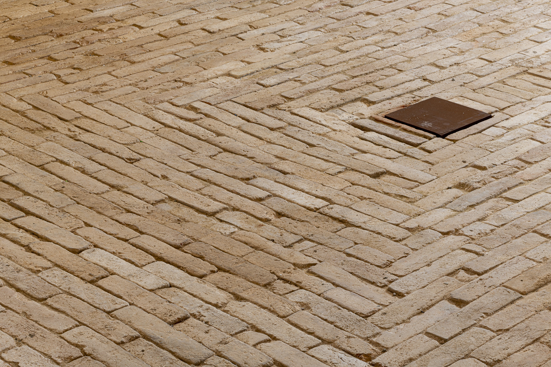 Rekonstrukce padoku v Národním hřebčíně v Kladrubech nad Labem od studia Masák & Partner