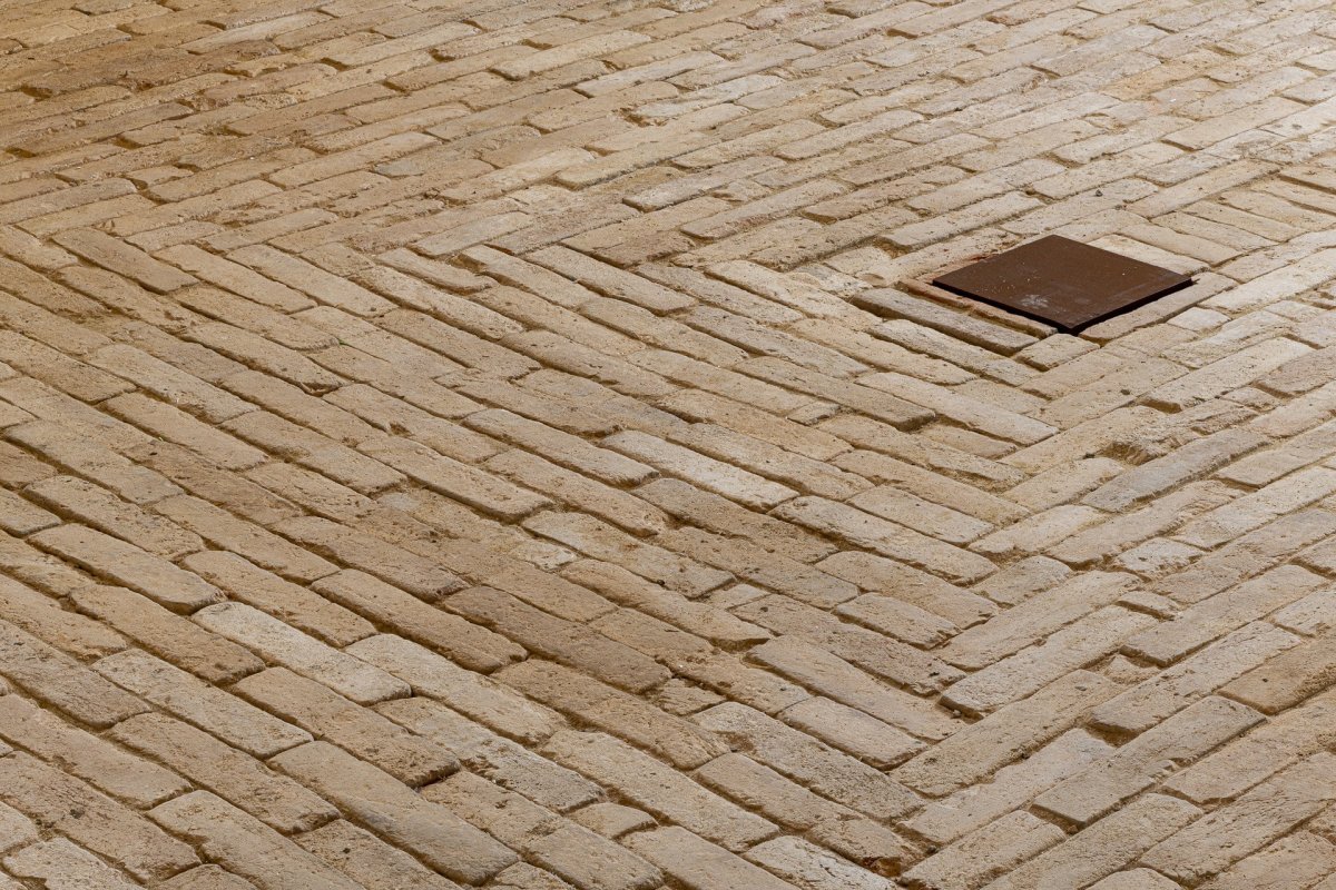 Rekonstrukce padoku v Národním hřebčíně v Kladrubech nad Labem od studia Masák & Partner