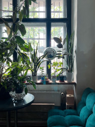 Je to tady "funky" - spousta květin, útulno a kreativní vibe.