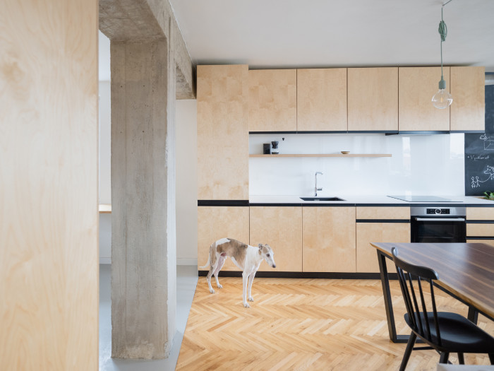 Byt s betonovou konstrukcí, Komon Architekti / Martin Gaberle