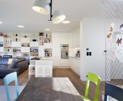 Rodinný dům Košinova v Brně, Mimosa architekti