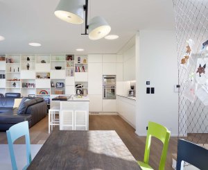 Rodinný dům Košinova v Brně, Mimosa architekti